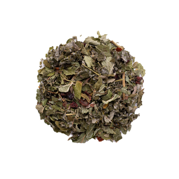 Wild forest Wild forest